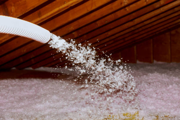 Professional Insulation Contractor in Catonsville, MD
