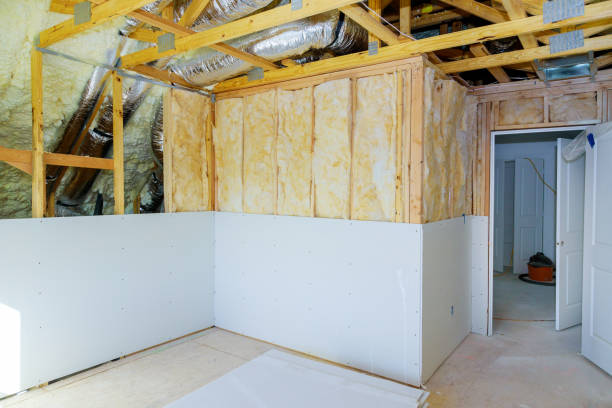 Best Geographic-Specific Insulation Services in Catonsville, MD