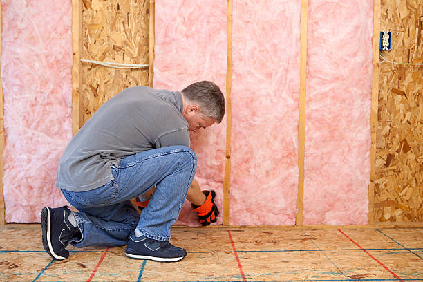 Best Fiberglass Insulation in Catonsville, MD