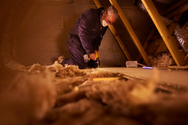 Best Spray Foam Insulation in Catonsville, MD