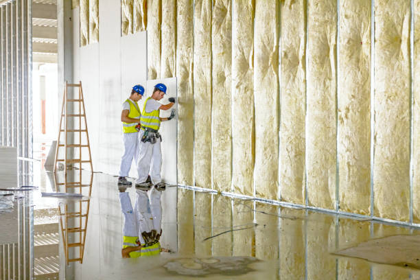Best Eco-Friendly Insulation in Catonsville, MD